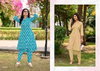 Tamira By Sbs Cotton Printed Co Ord Set Wholesale Clothing Suppliers In India